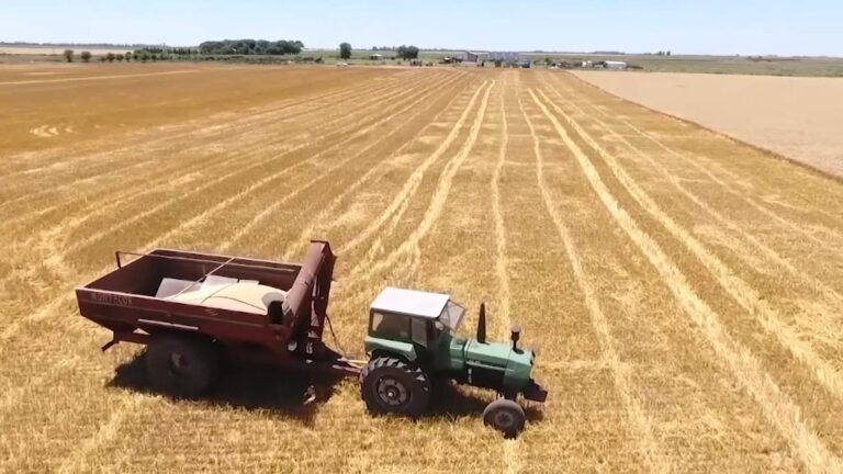 ¿Cómo podría beneficiar al agro sudamericano la guerra de aranceles entre Estados Unidos y China?