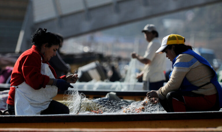 Ley de Fraccionamiento pasa a comisión mixta tras controversias por la merluza, el jurel y la anchoveta