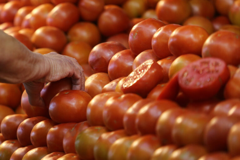 IPC de marzo subió 0,5%: Tomates, vinos y la carne de vacuno vieron alzas en sus precios