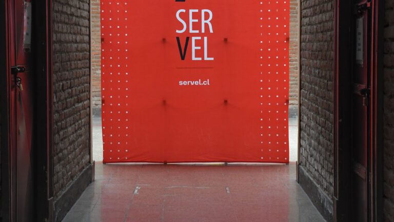 Las limitaciones del Servel para poder fiscalizar la desinformación y 