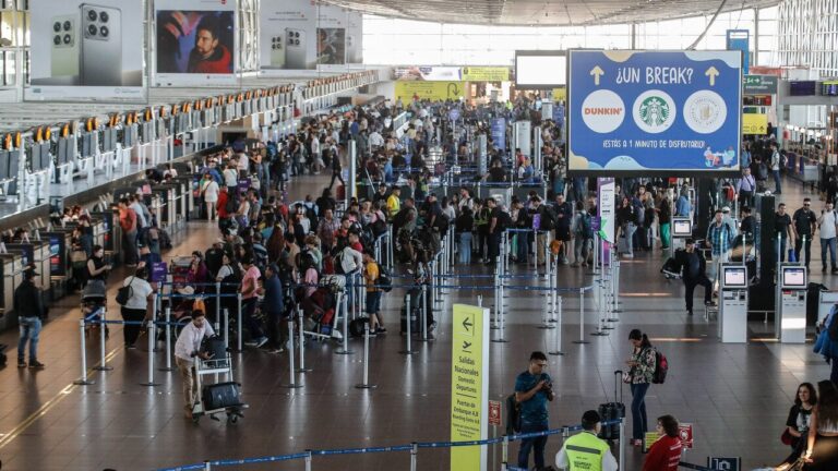 Presencia de aves en Nuevo Pudahuel: Aeropuerto apunta a basurales que provocarían atracción de estos animales