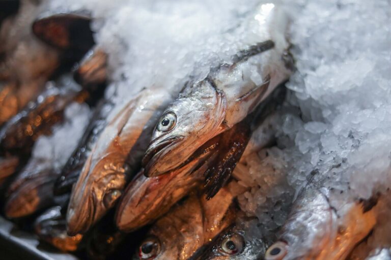 Semana Santa: Autoridades decomisan más de 10 toneladas de pescados y mariscos en mal estado que se vendían en el Mercado Central