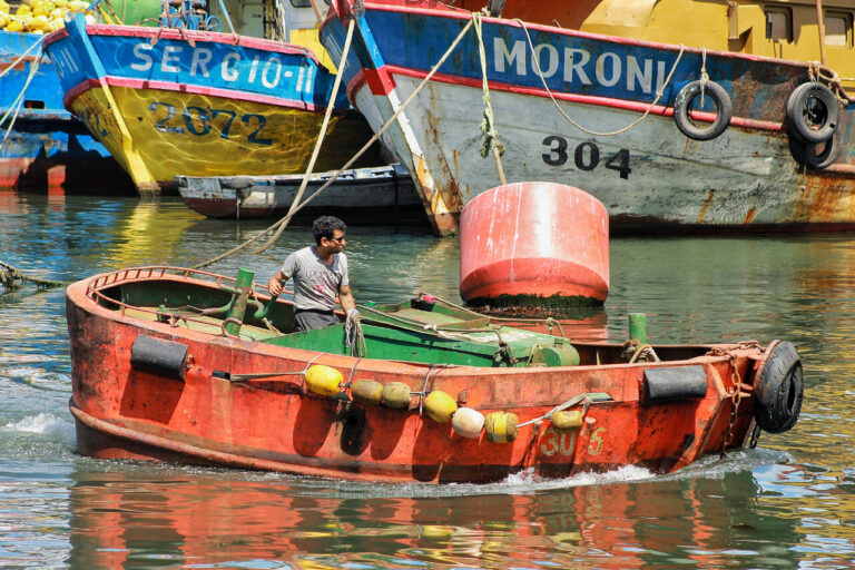 Búsqueda de pescadores desaparecidos: Asociación de Bacaladeros de Constitución valora visita de ministra Delpiano a la zona