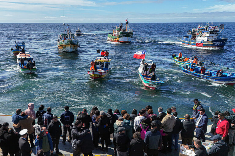 Silence on the Biobío coast: The tragedy of the 