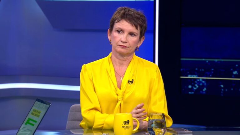 Carolina Tohá afirma que el Socialismo Democrático fue 