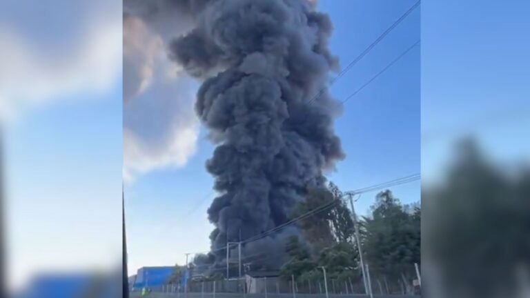 Incendio de gran magnitud afecta a planta frutícola en Paine