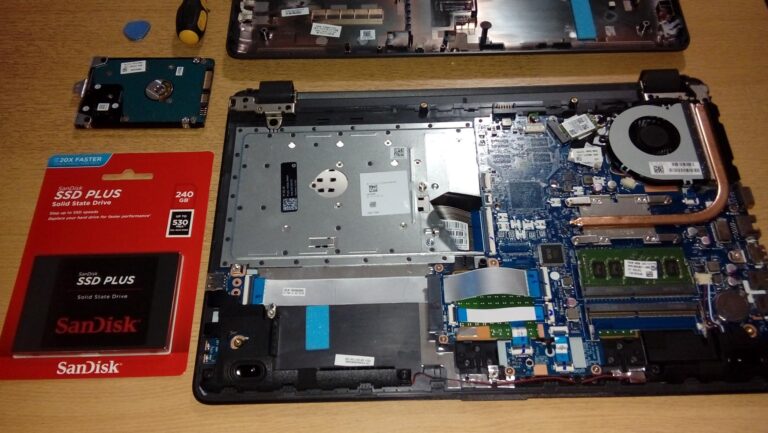 La proliferación de los 