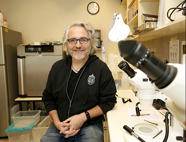 Científico chileno fue nombrado miembro de la Pontificia Academia de Ciencias del Vaticano