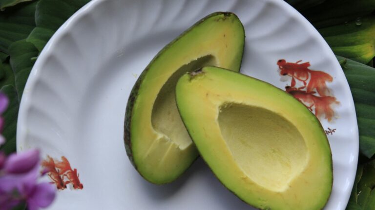 Parte de la producción de paltas en México se ha detenido ante los aranceles