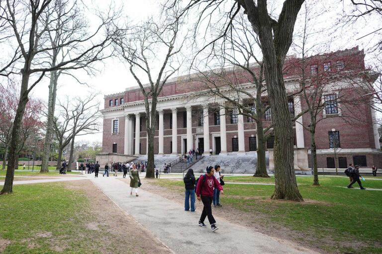 ¿Por qué el gobierno de Donald Trump está revocando masivamente visas de estudiantes extranjeros en Estados Unidos?