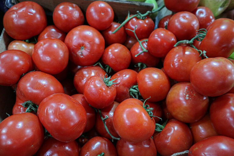 IPC de abril subió 0,2%: Tomates, arriendos y autos nuevos vieron alzas en sus precios