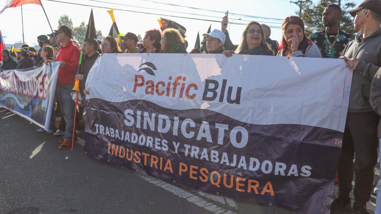 Ley de Fraccionamiento: PacificBlu anuncia cierre por reducción en cuota de merluza