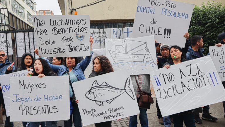 Ley de Fraccionamiento: PacificBlu anuncia cierre, Landes acusa expropiación y diputada alerta por empleo