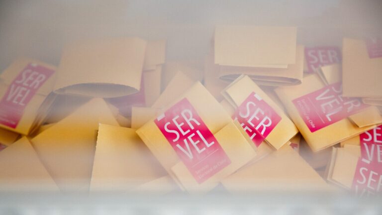 Quiénes votan, publicación de los vocales de mesa y cuándo es la elección: Servel entrega detalles sobre las primarias