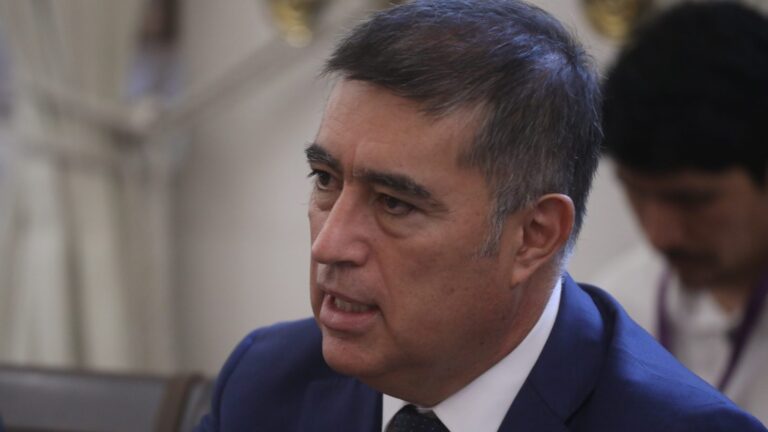 Desbordes y altibajos de Matthei en encuestas: 