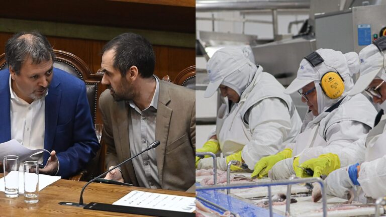 Tensión previa a sesión de Comisión Mixta por Fraccionamiento: Trabajadores de PacificBlu y diputado Brito critican al ministro Grau