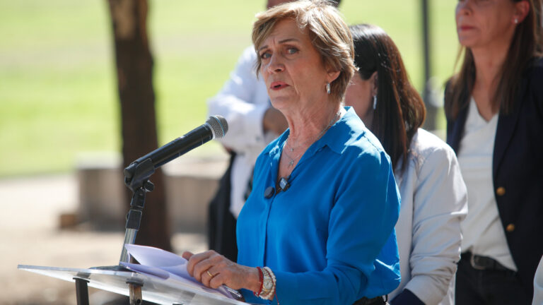 Evelyn Matthei condena ataque a bala contra funcionarios de salud en Ercilla