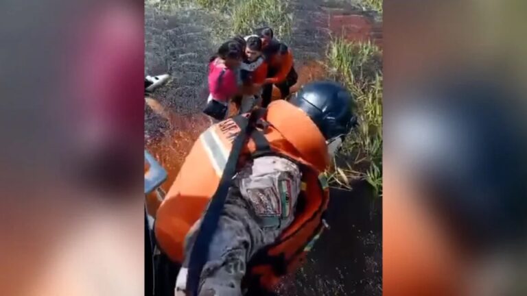 Milagro en la Amazonía: rescatan a cinco personas tras 48 horas en pantano con caimanes tras accidente aéreo