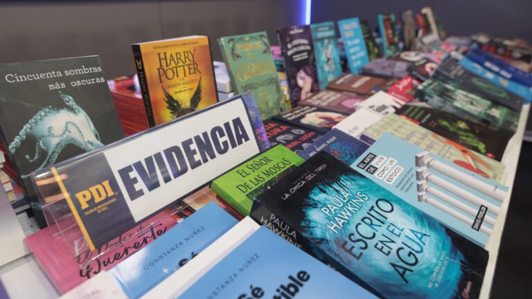 PDI incautó más de 150 mil libros falsificados en Santiago: Perjuicio supera los $6 mil millones