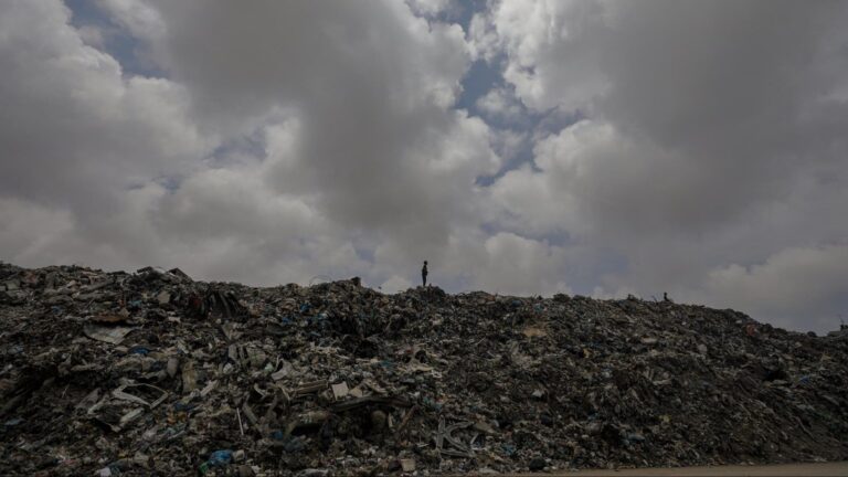 Estrellas de Hollywood condenan 