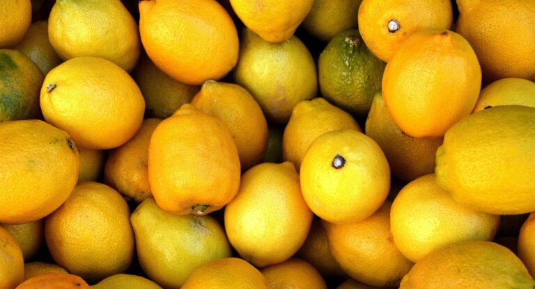 Precios de alimentos: Bajan las naranjas y limones, pero suben el huevo y la carne