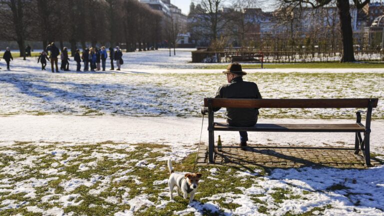 Por qué Copenhague es la mejor ciudad del mundo para vivir en 2025: Desplazó a Viena en el ranking