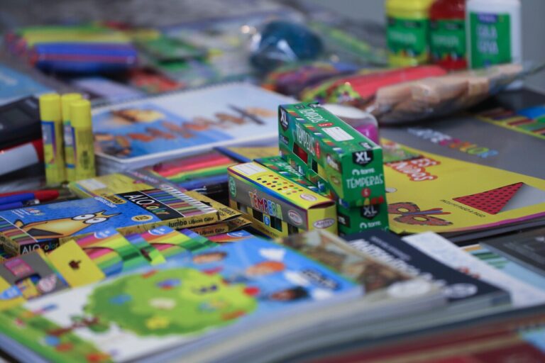 Fallas en entrega de útiles escolares: Diputados UDI exigen salida de la directora de Junaeb tras informe de Contraloría