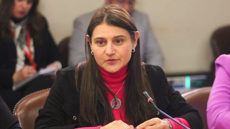 Diputada Cid criticó proyecto 