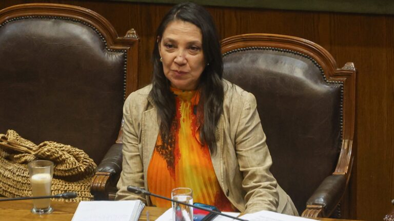 “El aborto o el derecho a voto de extranjeros deben ser parte de un debate democrático“: Ministra Macarena Lobos