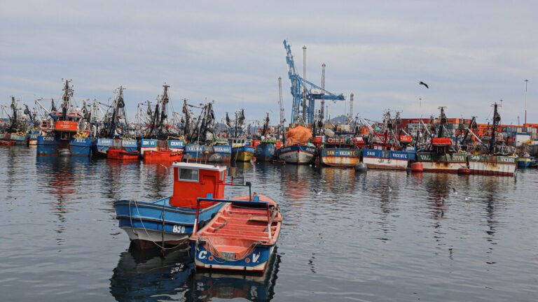 Nueva Ley de Fraccionamiento: ¿Cómo será la distribución de los recursos pesqueros?