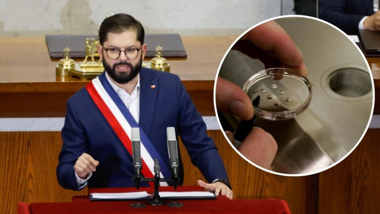 Cuenta Pública 2025: Gobierno anuncia proyecto de ley de fertilización asistida