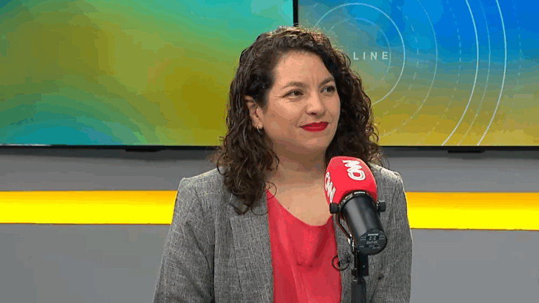 Reforma al sistema de adopción en Chile: Ministra Toro explica el nuevo enfoque de la medida y cómo funcionaría