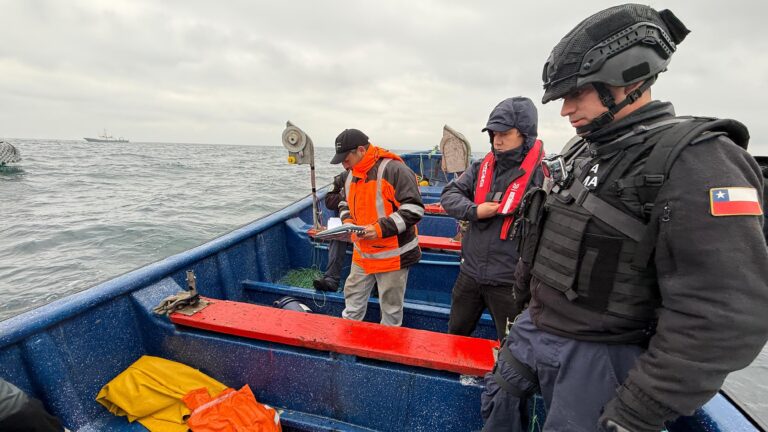 Maule: Incautan más de 21 mil toneladas de jibia en zona de pesca