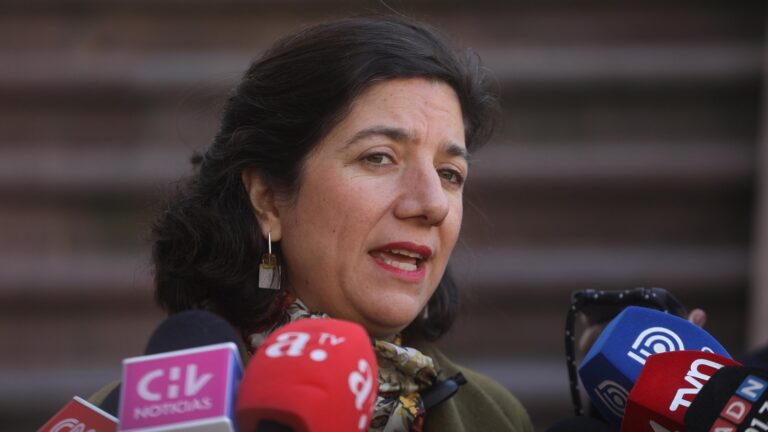 Aisén Etcheverry destaca alto funcionamiento de primarias con 98.5% de mesas constituidas