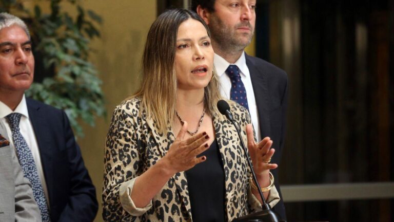 Pérez pide investigación por homicidio de niño con TEA en Talcahuano con críticas al Servicio de Protección por 