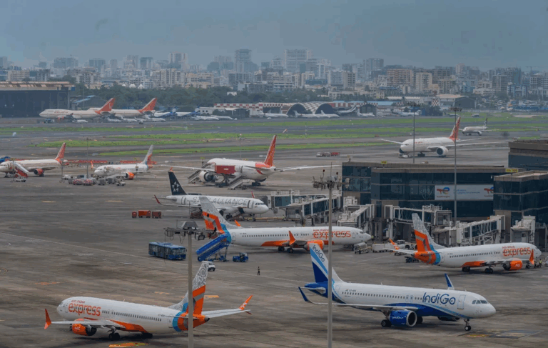 Joven metió un hamster escondido a un vuelo y se le perdió: Provocó un atraso de 3 horas