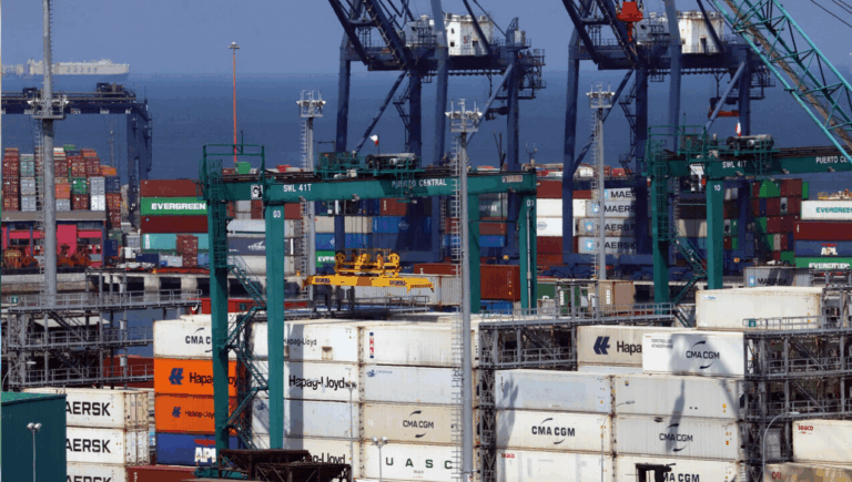 Chile lideró exportaciones mundiales de 24 productos en 2024: Estos fueron los productos nacionales más demandados