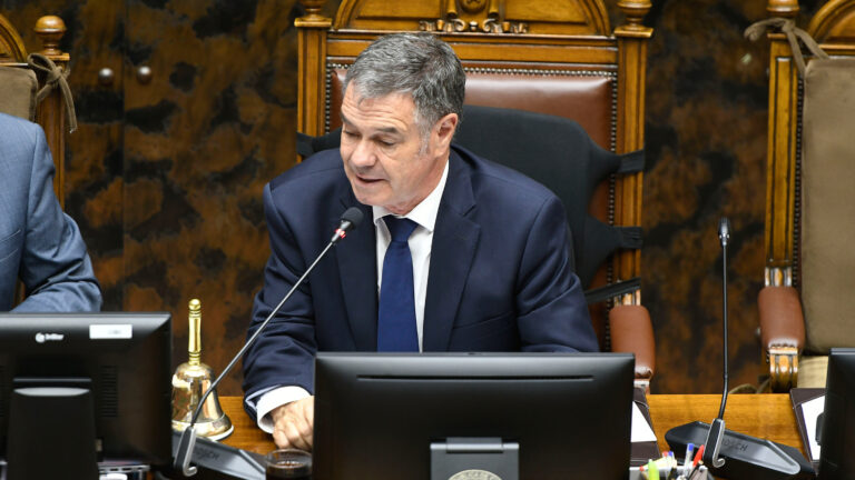 Presidente del Senado califica gobierno de Boric como 