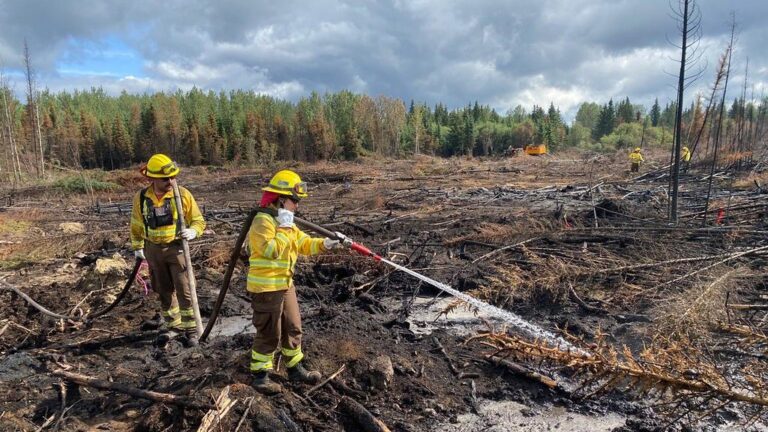 Brigadistas chilenos viajaron a Canadá para ayudar a combatir incendios forestales