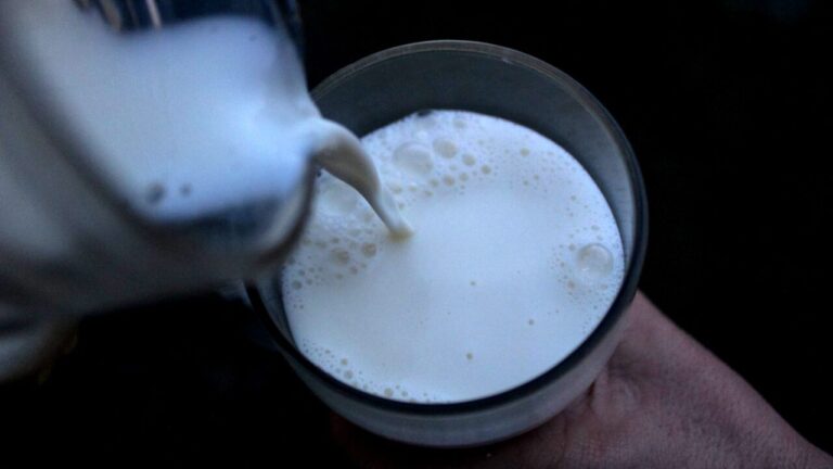 Chile albergará por primera vez la Cumbre Mundial de Lácteos