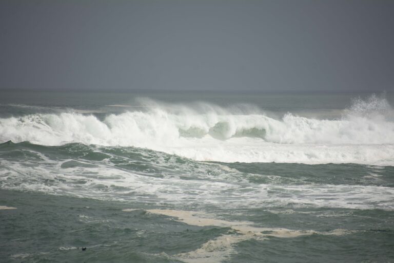 Experto advierte efectos de tsunami en Chile tras terremoto en Rusia: 