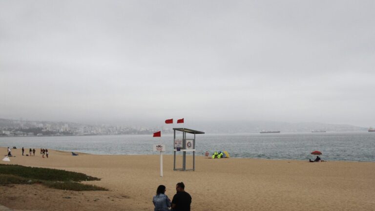 SHOA: Fuerte sismo en Alaska no reúne condiciones para generar tsunami en costas de Chile