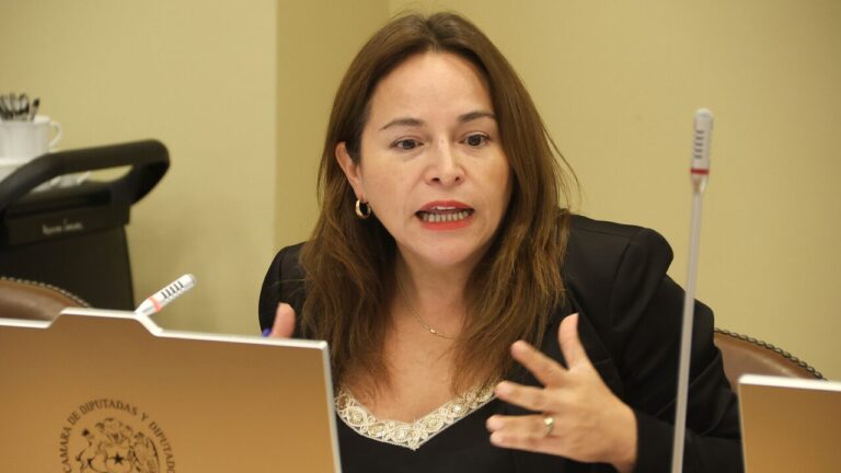 Proyecto busca establecer multas al voto obligatorio: Diputada Pérez explica los plazos y cómo funcionaría