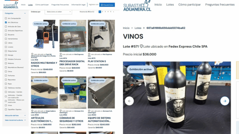 Rematarán más de 500 lotes: ¿Cómo participar en la subasta aduanera?