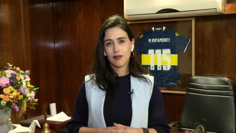 Ripamonti apunta al Minvu por lenta reconstrucción tras megaincendios: 