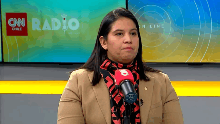 Secretaria de RN desdramatiza desplome de Matthei en encuestas: 