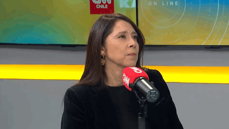 Reforma a ley de responsabilidad penal juvenil: ¿Qué dicen desde el Servicio de Reinserción Social Juvenil?