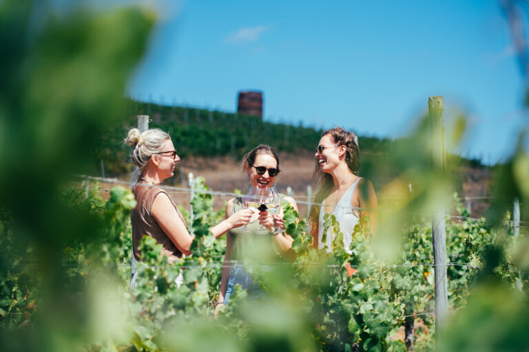 Panoramas para el Día del Amigo 2025 en Santiago: Qué hacer este fin de semana