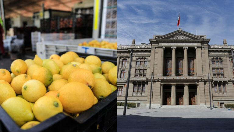 Había sido denunciada por estafa: Justicia ordena liquidación forzosa de exportadora Olivar Export