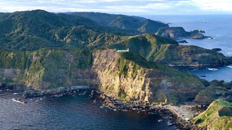 Leonardo DiCaprio compró Isla Guafo en Chiloé para convertirla en parque nacional: 